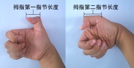 拇指第一指节和第二指节长度计算方式